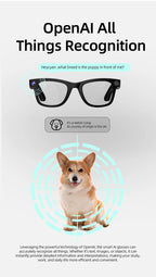 Mijia 800W Pixel Intelligent Glasses G300 AI HD Shooting Video Recording Voice Call Translation Glasses Photochromic Lens