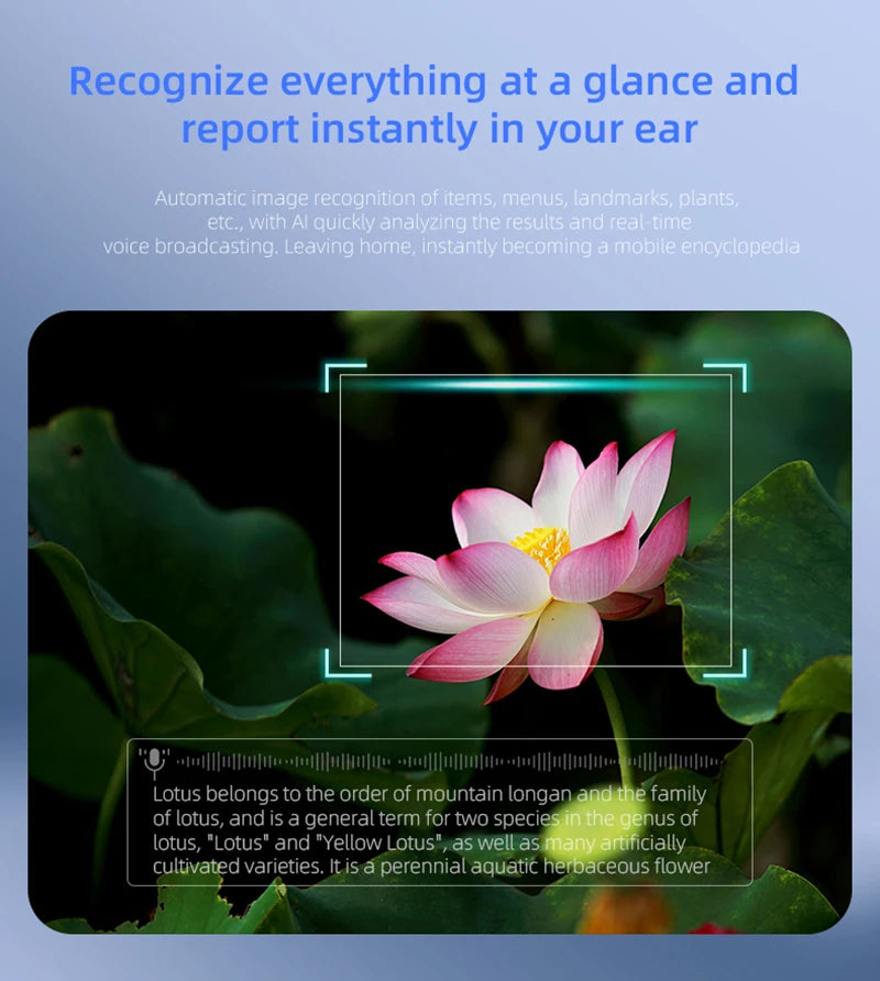 New Smart Glasses 500W Pixel Video Camera AI Voice Translation With Video And Photo Bluetooth Recording Sunglasses